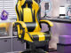 Ergonomic Reclining Gaming Chair for Office and Home with Adjustable Features