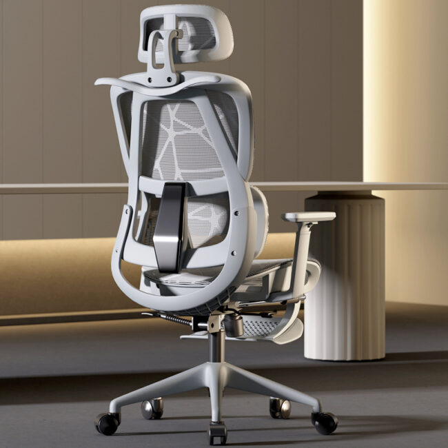 Ergonomic Home Office Chair for Study and Gaming