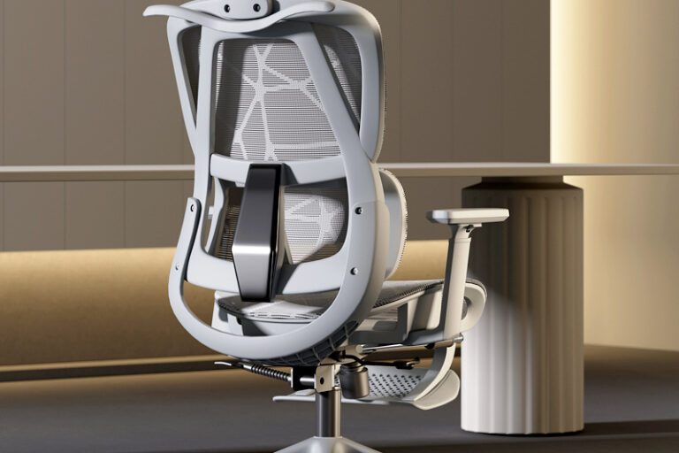 Ergonomic Home Office Chair for Study and Gaming